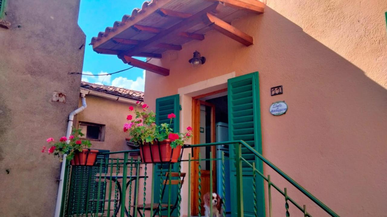 L'Isola Di Boccheggiano Daire Dış mekan fotoğraf